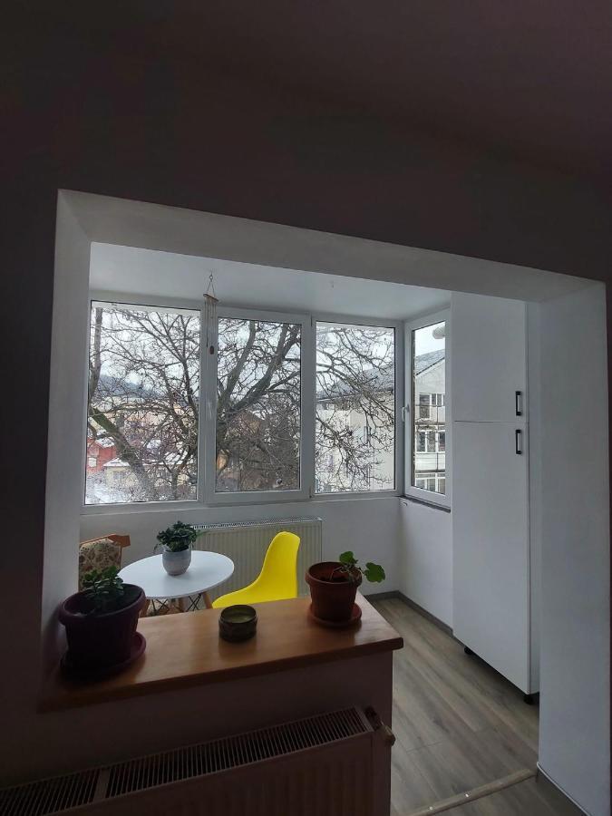 Apartament Spatios In Braşov Eksteriør bilde