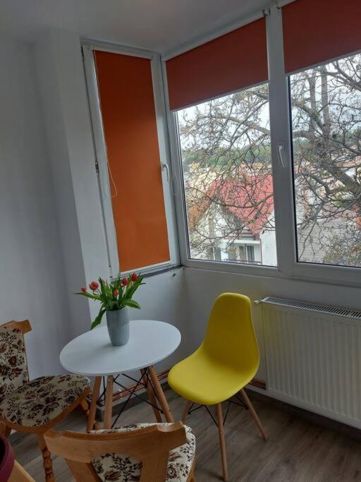 Apartament Spatios In Braşov Eksteriør bilde